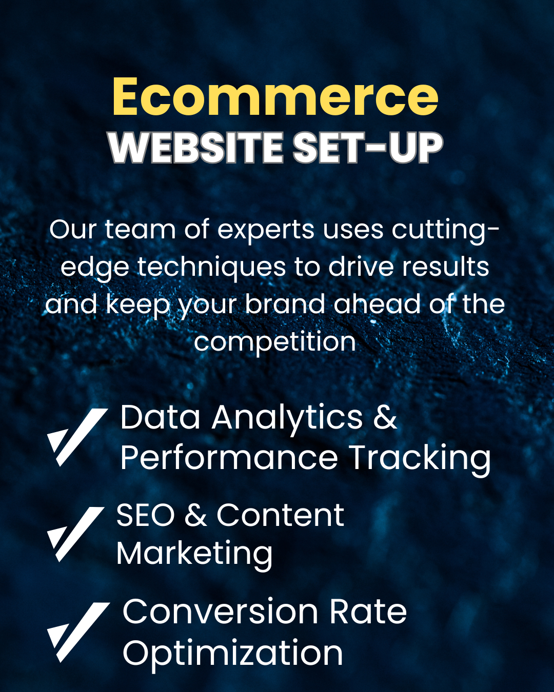 Ecommerce Setup